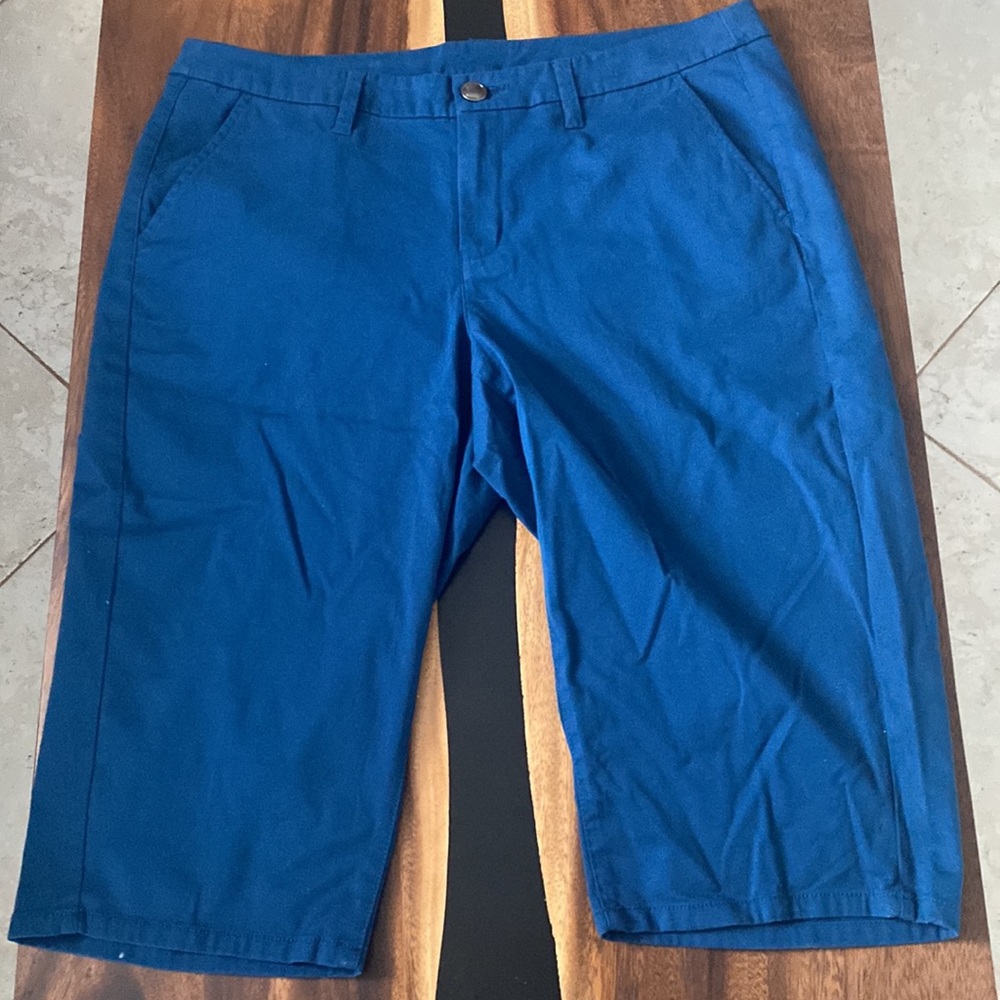 Lane Bryant shorts size 16